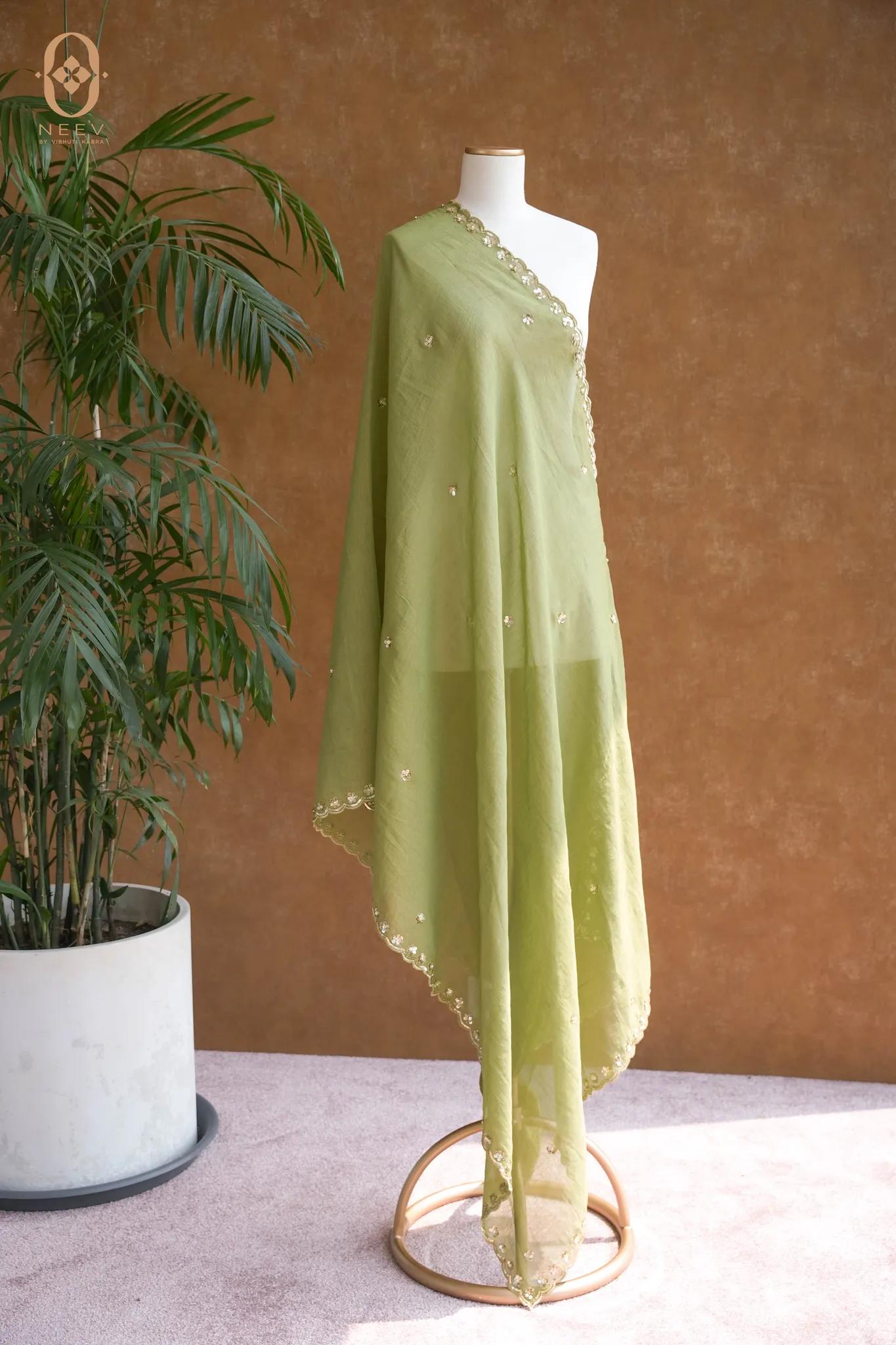 Daisy Mul Tissue Handwork Dupatta