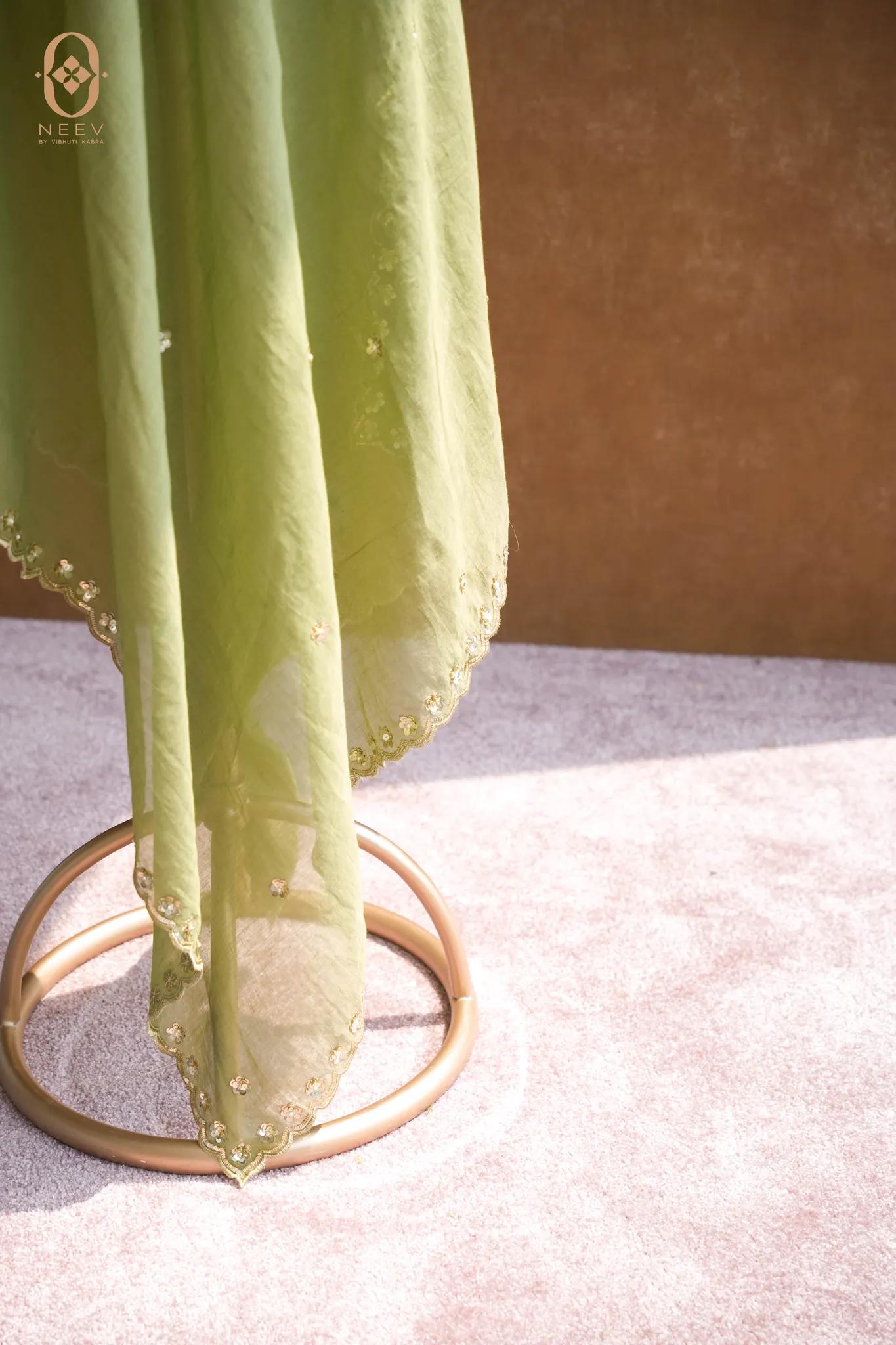 Daisy Mul Tissue Handwork Dupatta